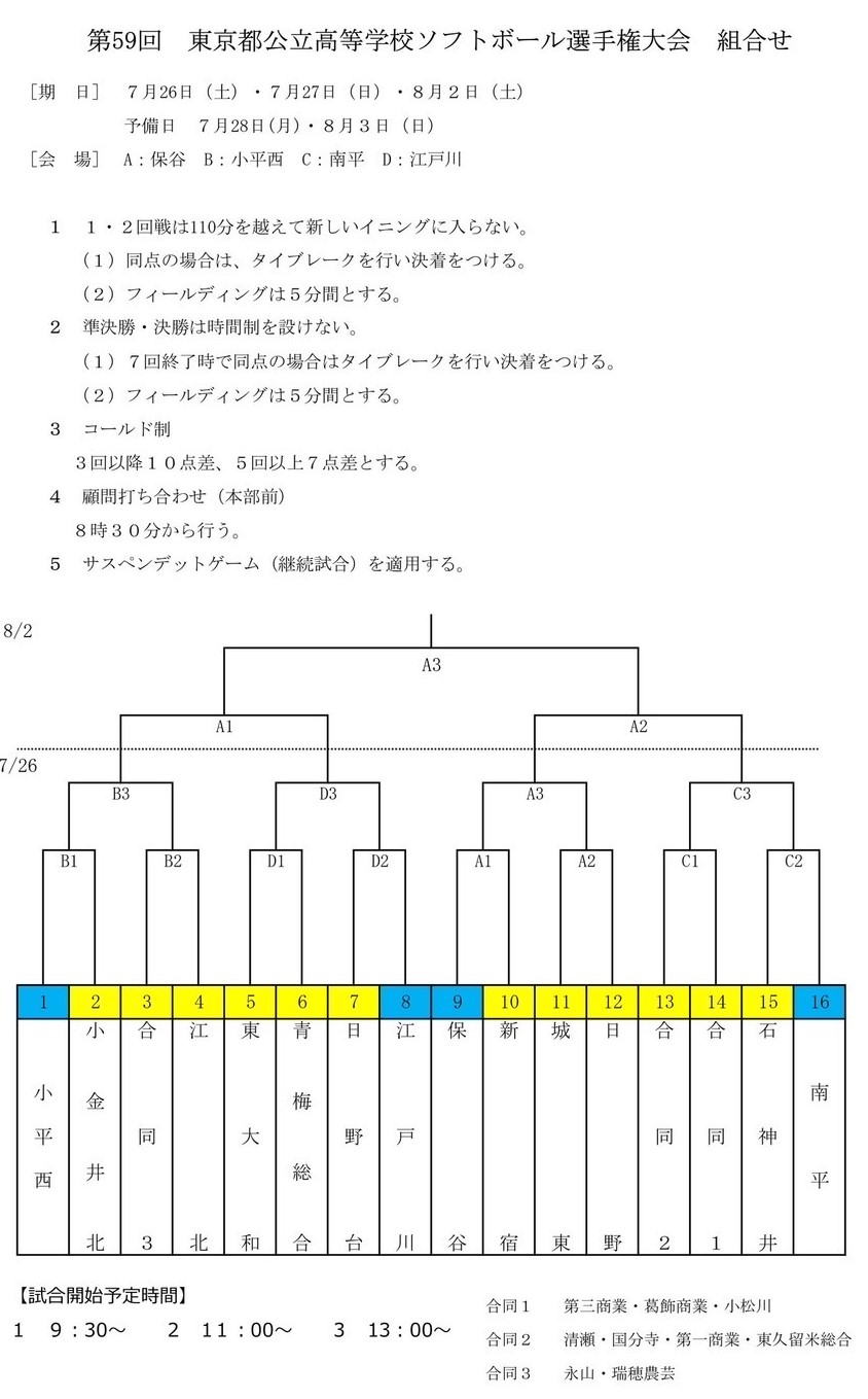 編ソフト大会 (36)